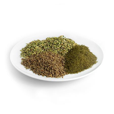 IODINE SUPPORT