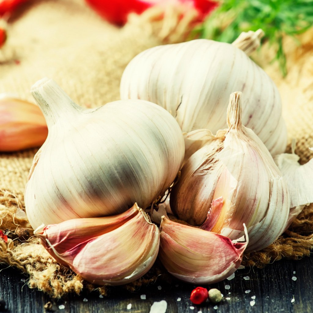Garlic (powerful food)