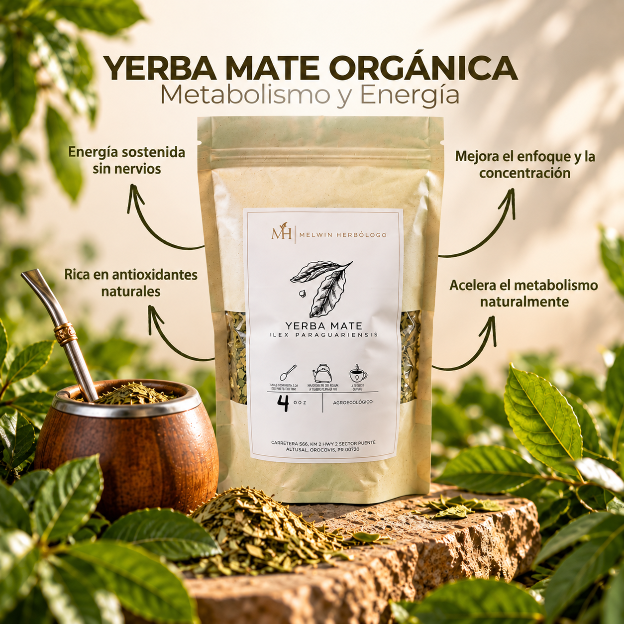 YERBA MATE ORGÁNICA